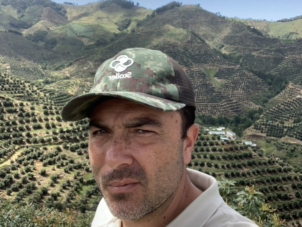 Persona con gorra frente a un cultivo en ladera
